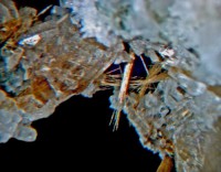 /album/galerie-photos/formigal-rutile-7700-mod1-jpg/
